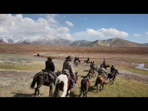 Western Riding Holidays